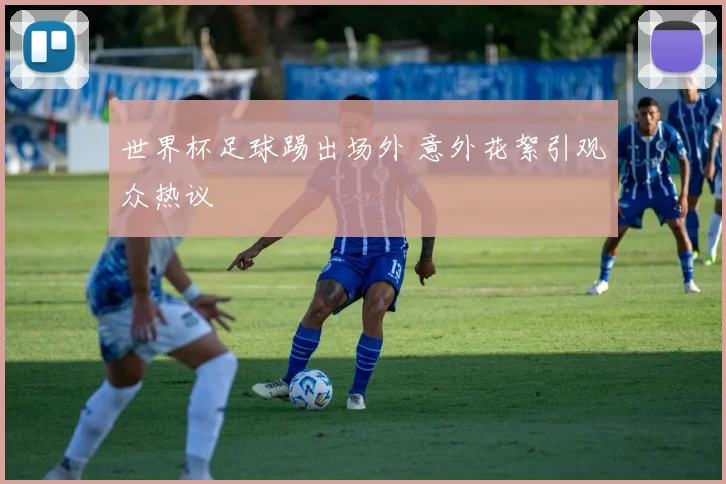 世界杯足球踢出场外 意外花絮引观众热议