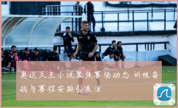 奥运天王小说聚焦赛场动态 训练备战与赛程安排引关注