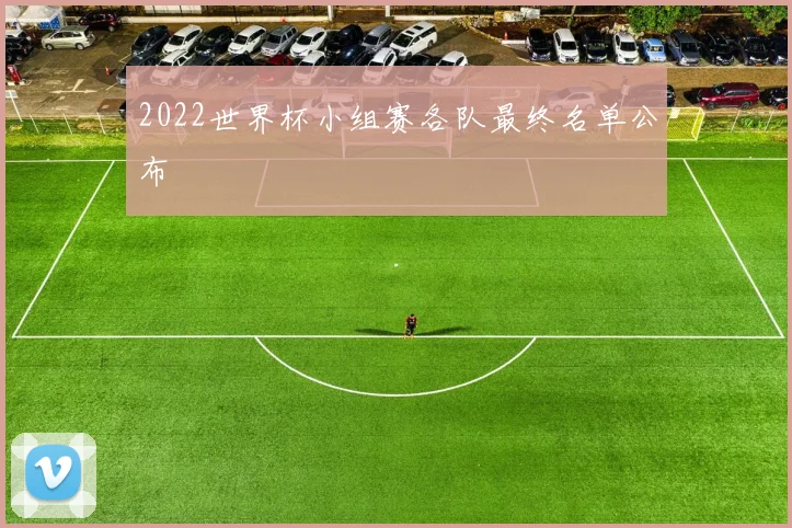 2022世界杯小组赛各队最终名单公布