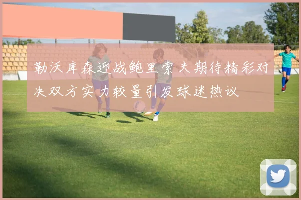 勒沃库森迎战鲍里索夫期待精彩对决双方实力较量引发球迷热议