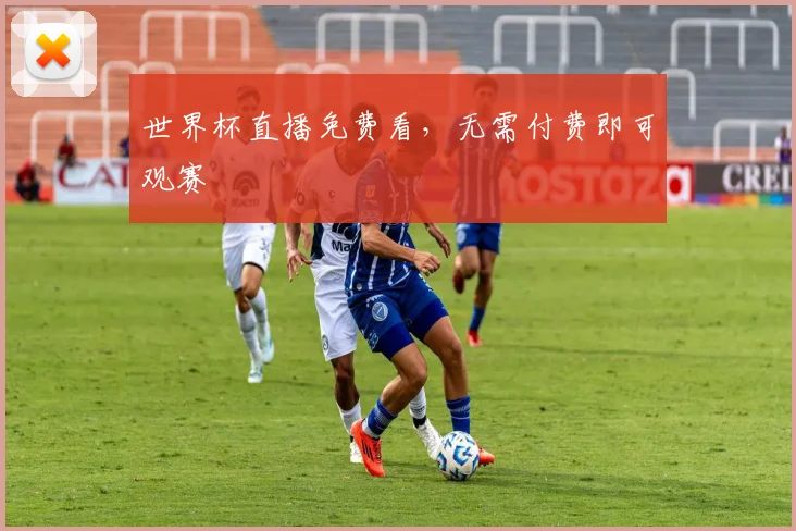 世界杯直播免费看，无需付费即可观赛