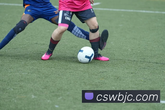 尊龙凯时发展历程