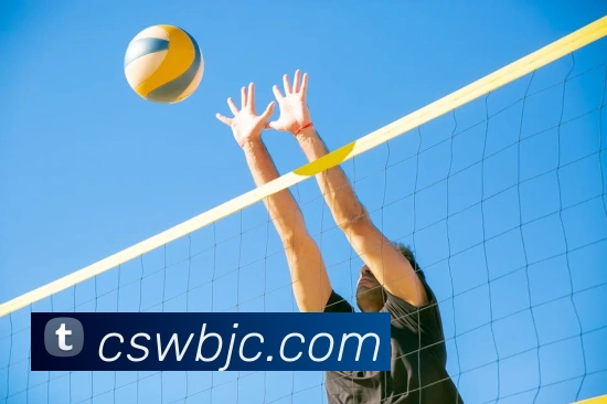APP界面展示