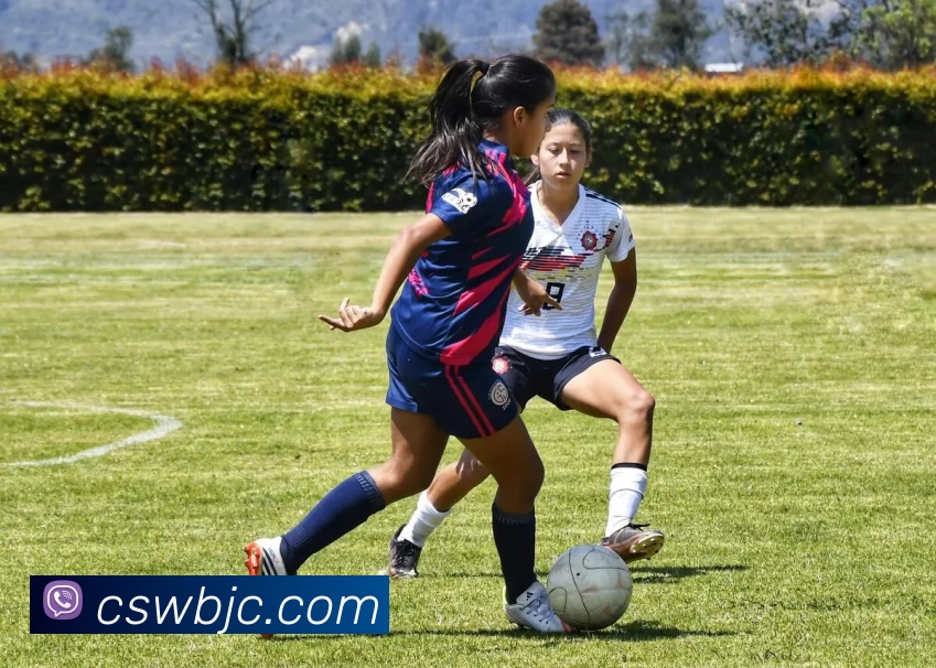 武汉篮球队的节奏打法深度解析与战术运用探讨